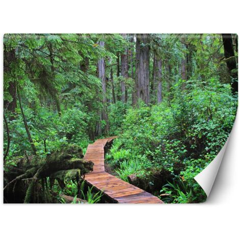 Papier peint Sentier tropical dans la forêt 100x70
