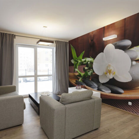 Papier Peint "Temple Zen" 270 x 350 cm