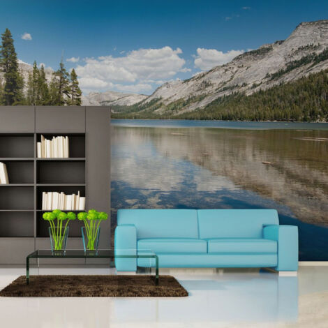 Papier Peint "Tenaya Lake Yosemite National Park" 270 x 350 cm