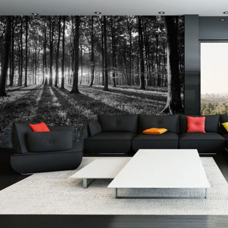 Papier Peint "The Light in the Forest" 210 x 300 cm