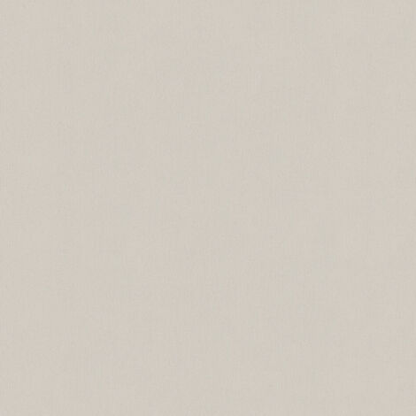 Papier Peint Uni en Intissé Argent 10mx 0.53 m