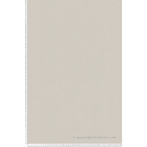 Papier Peint Uni en Intissé Gris clair 10mx 0.53 m