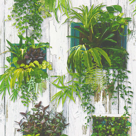 Papier peint végétal verte Tapisserie trompe l'oeil motif plante verte Papiers peints originaux & modernes pour salon & bureau - 10,05 x 0,53 m