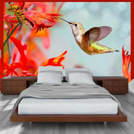 Papier peint vol de colibri - Rouge