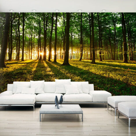 Papier Peint XXL "Mystical Morning II" 280x500cm