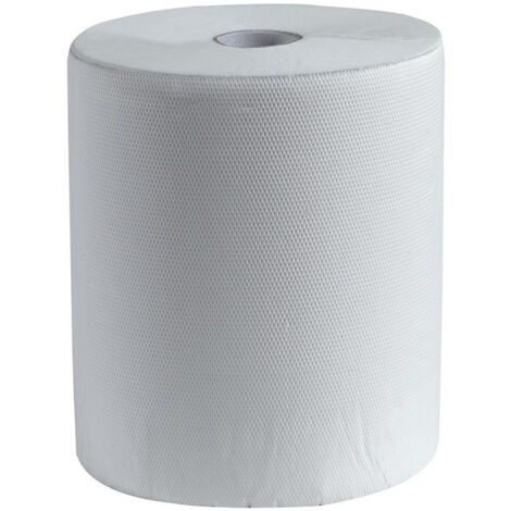 Papier rouleau 3 plis, 6 rouleaux de 100 m, largeur 22 cm blanc CWS