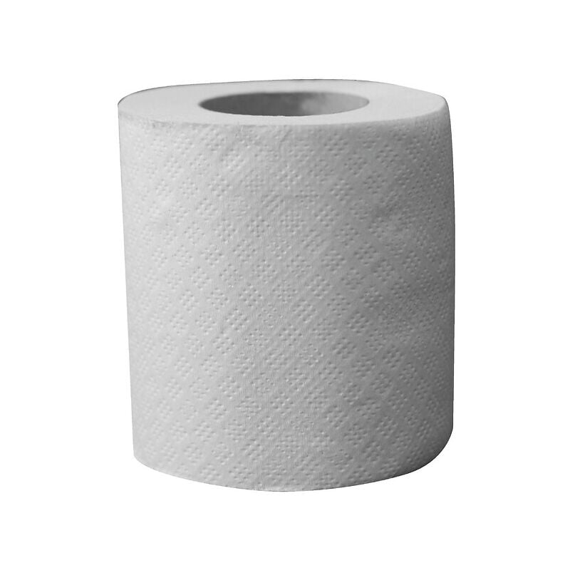 Papier toilette rouleaux ecolabel 100% recyclé Papeco