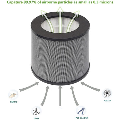 Paquet 2 filtres remplacement pour TT-AP006 purificateur air 3-en-1 H13 true HEPA filtre et filtre charbon actif