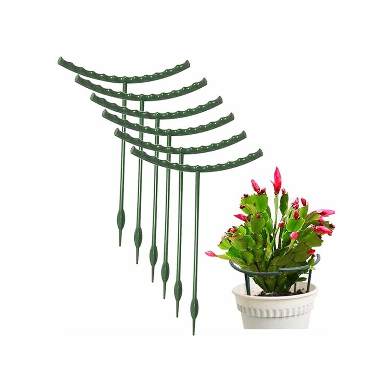 Paquet de 10 piquets de support pour plantes, anneau de support pour plantes semi-circulaire en métal, support de cage pour plantes en plastique,