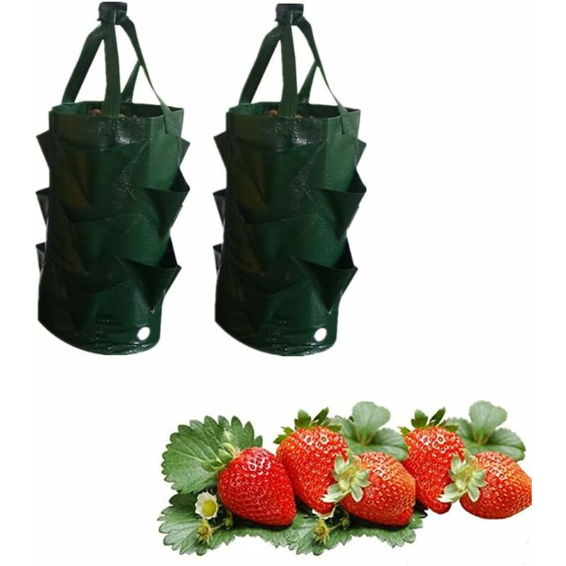 Linghhang - Paquet de 2 sacs de culture de fraises (verts, 3 gallons) avec 8 trous pour fraises, pommes de terre, tomates, fleurs et légumes - dark