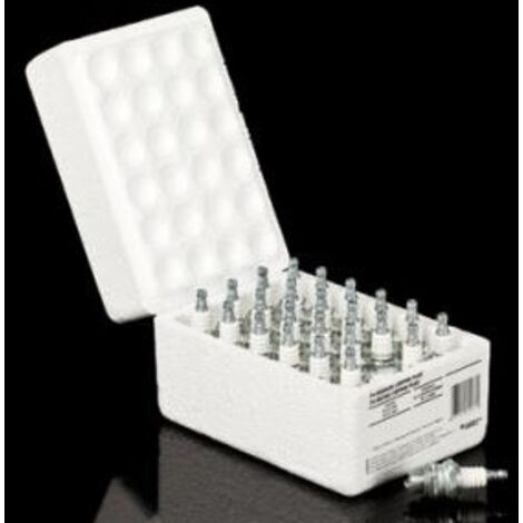 Paquet de 24 bougies d'allumage CHAMPION CJ8 nickel