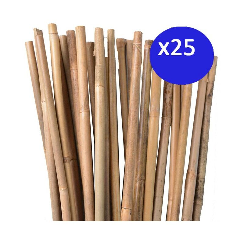 Tuteur en Bambou 100 cm, 8-10 mm (Pack 25). Baguettes de bambou, canne de bambou écologique pour soutenir les arbres