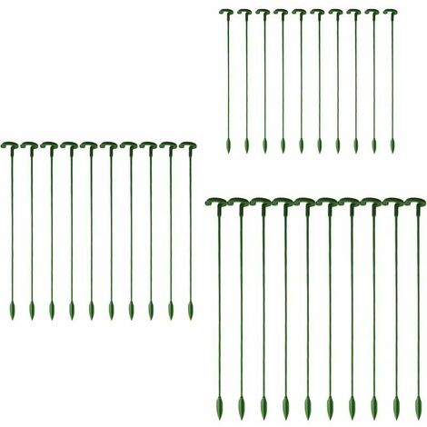 Paquet de 30 piquets pour plantes de jardin, tiges simples, piquets de fleurs, orchidée, pivoine, lys, rose