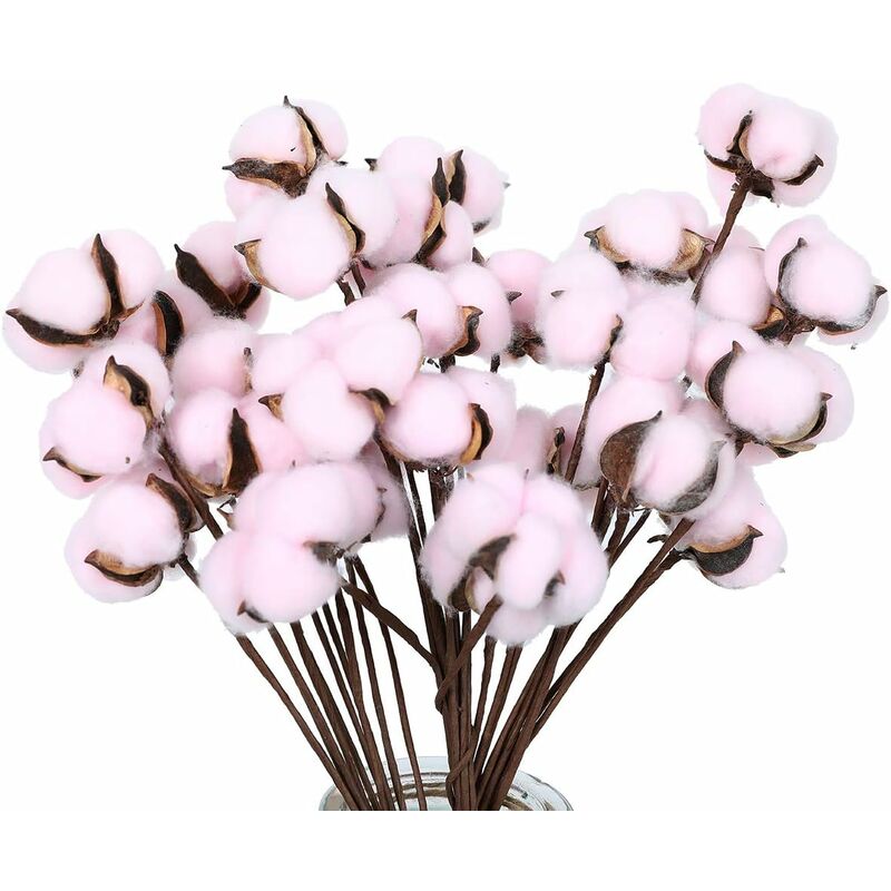Paquet de 30 tiges de coton fleurs de coton séchées naturellement décor de style ferme fleurs séchées décoration de la maison accessoires photo