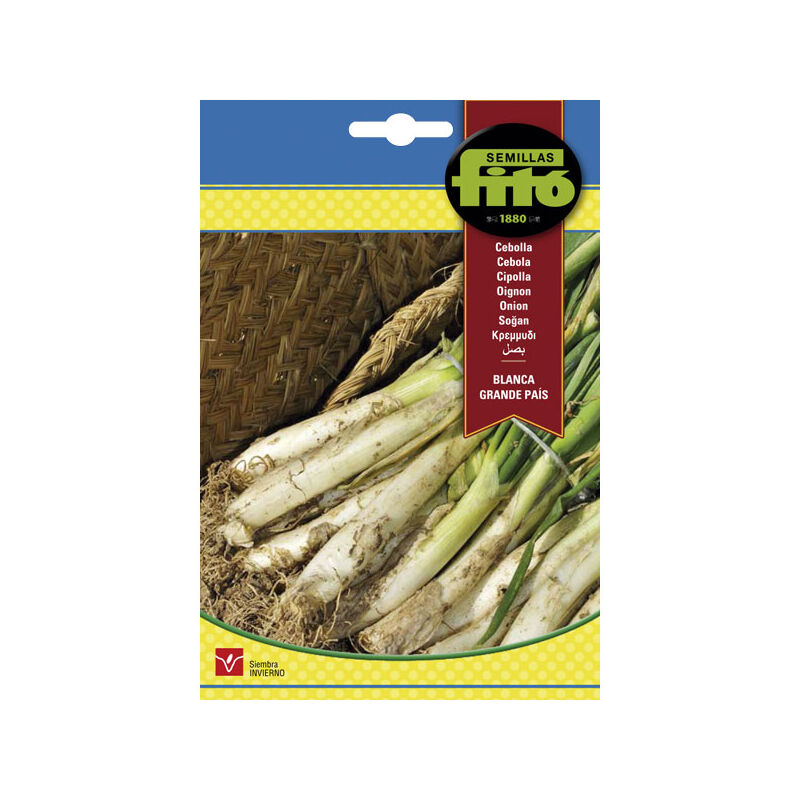 Fito - Plantawa Paquet de 4 Graines Oignon Blanc Pays 7g en Hiver Horticole dans Potager Urbain - Fitó