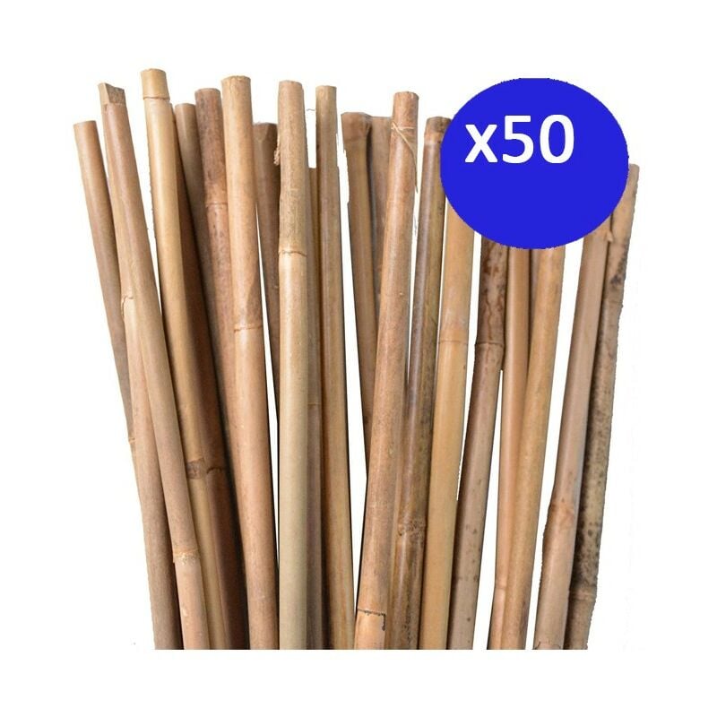 Tuteur en Bambou 100 cm, 8-10 mm (Pack 50). Baguettes de bambou, canne de bambou écologique pour soutenir les arbres