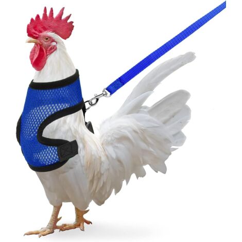 Paquet de poulet avec laisse-Fei Yu