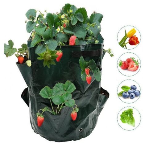 Paquete de 2 bolsas para cultivar fresas: bolsas para cultivar fresas y jardineras
