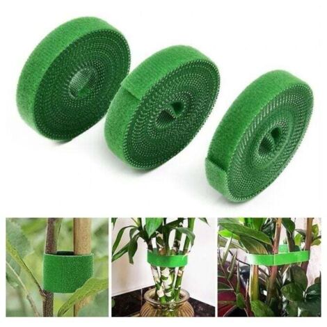 Paquete de 3 bridas de nailon reutilizables para plantas de jardín, ramas de flores y tomates, soportes para plantas de interior y exterior para un crecimiento eficiente - 5 m x 1 cm - Verde