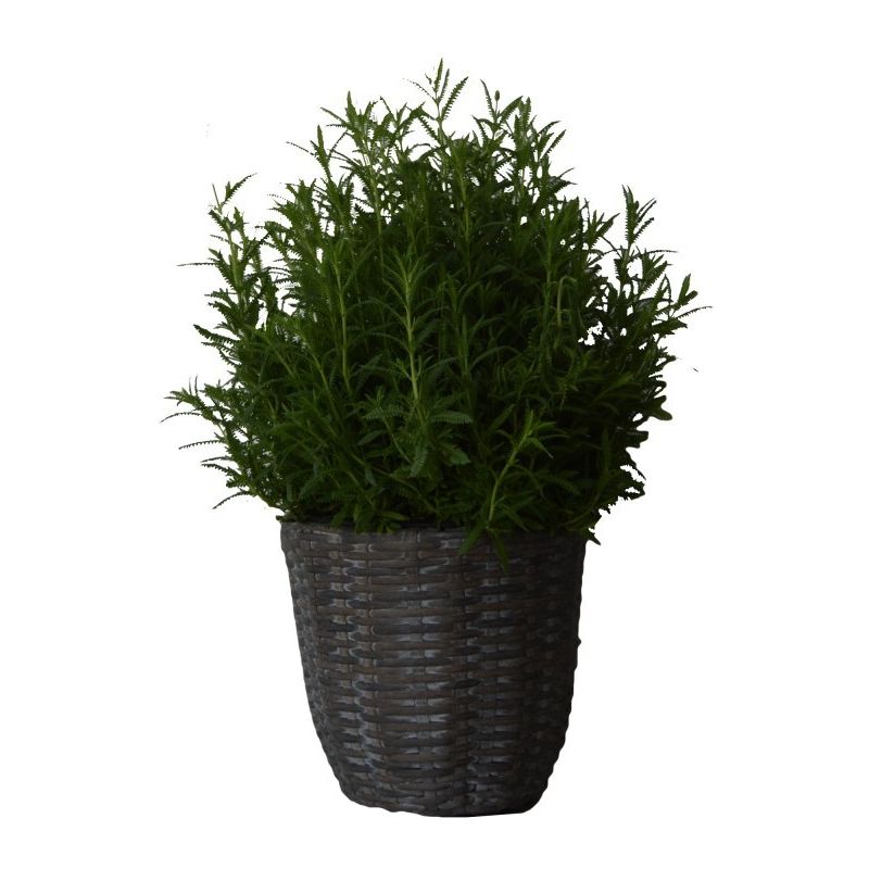

Kiefergarden - Paraná maceteros ratan sintético premium gris envejecido tamaño grande - Kiefer Garden