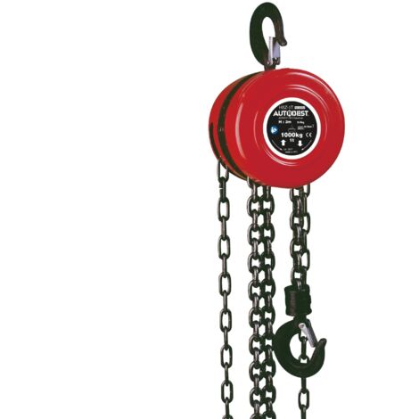 Paranco a catena 2,5m 1t
