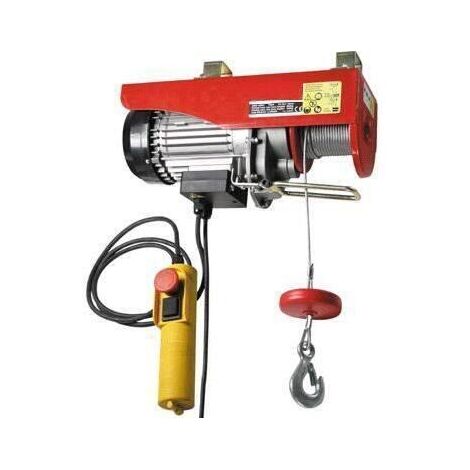 Paranco/Argano/Montacarico/Montacarichi elettrico 250/500Kg