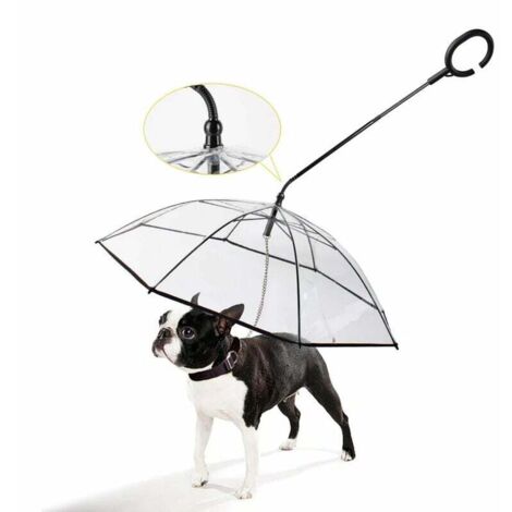 Parapluie pour chien avec laisse – Für einen Spaziergang im Freien vor der Nacht oder am Pluie