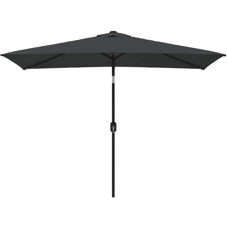 Parasol avec mât en métal 300 x 200 cm Anthracite