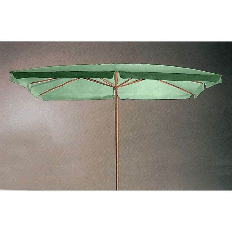 Parasol de jardin en bois 200 x 300 cm vert