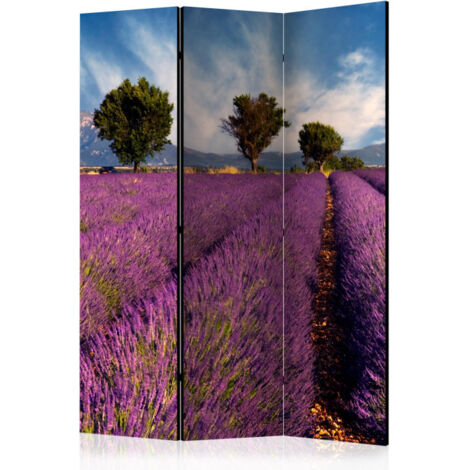 Paravent 3 Volets "Lavender Field in Provence, France" 135x172cm
