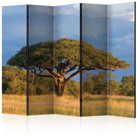 Paravent 5 Volets "African Acacia Tree, Hwange National Park, Zimbabwe" 172x225cm