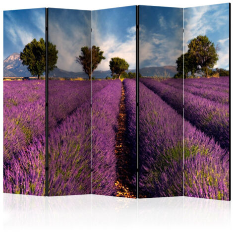 Paravent 5 Volets "Lavender Field in Provence, France" 172x225cm