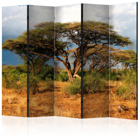 Paravent 5 Volets "Samburu National Reserve, Kenya" 172x225cm
