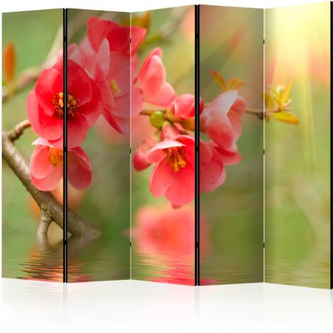 Paravento - Azalea reflected in the water II [Room Dividers] - 225x172