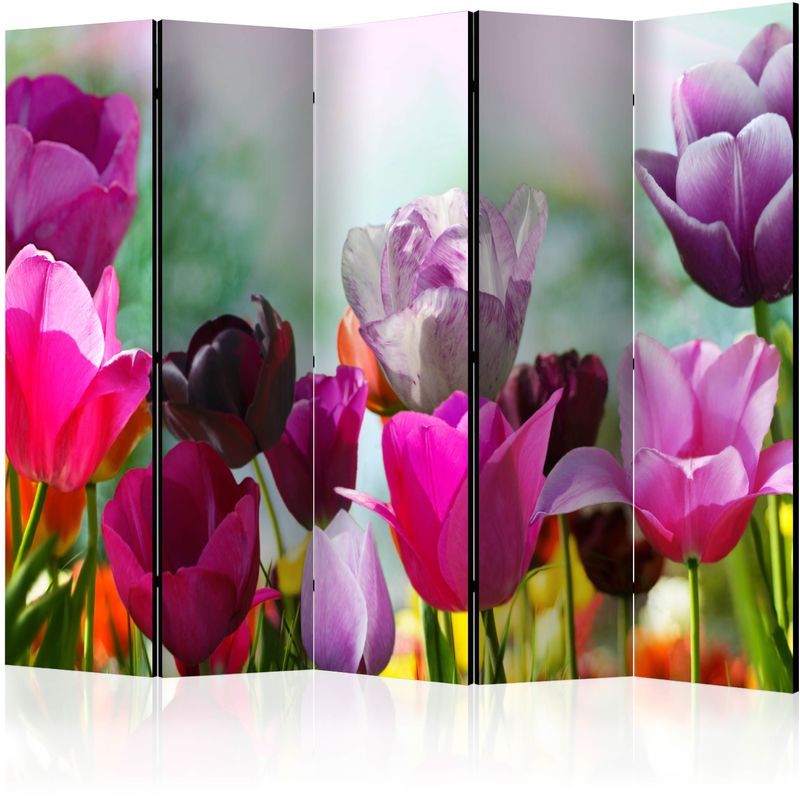 Gbshop - Paravento - Beautiful Tulips ii [Room Dividers] - 225x172