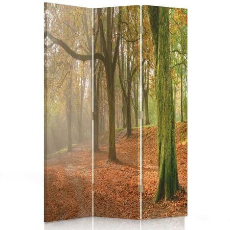 Paravento bilaterale 360, Autunno nella foresta - 110x170