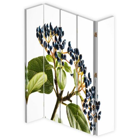 Paravento bilaterale 360, Sambuco nero - 180x170