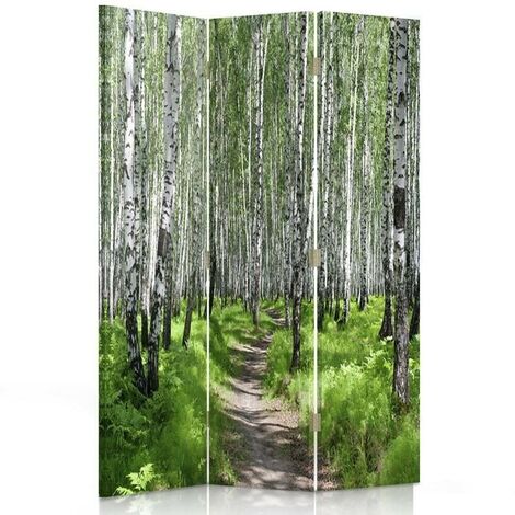 Paravento bilaterale 360, Sentiero attraverso un bosco di betulle - 110x170