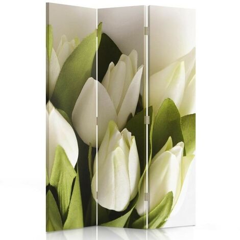 Paravento bilaterale 360, Tulipani bianchi freschi - 110x170