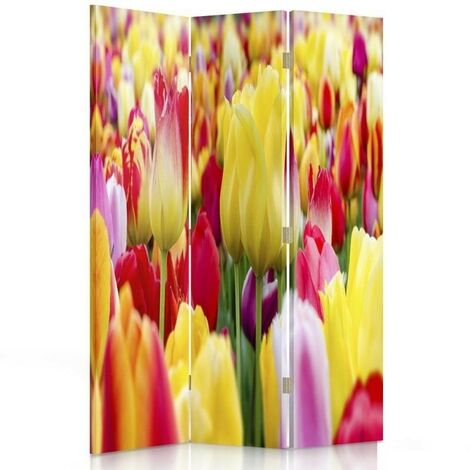 Paravento bilaterale 360, Tulipani multicolori - 110x170