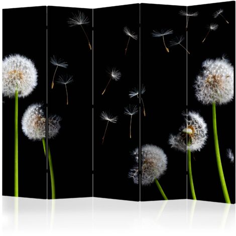 Paravento - Dandelions in the wind II [Room Dividers] - 225x172