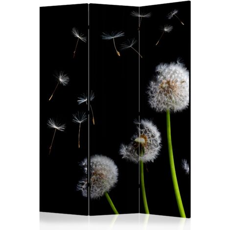 Paravento - Dandelions in the wind [Room Dividers] - 135x172
