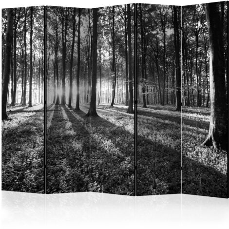 Paravento - Grey Wilderness II [Room Dividers] - 225x172
