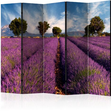Paravento - Lavender field in Provence, France II [Room Dividers] - 225x172