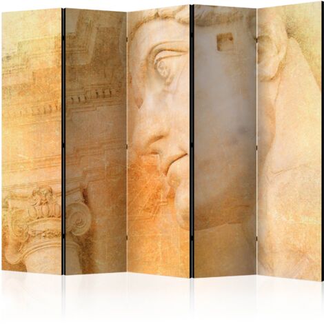 Paravento - Rome - bird's eye view II [Room Dividers] - 225x172