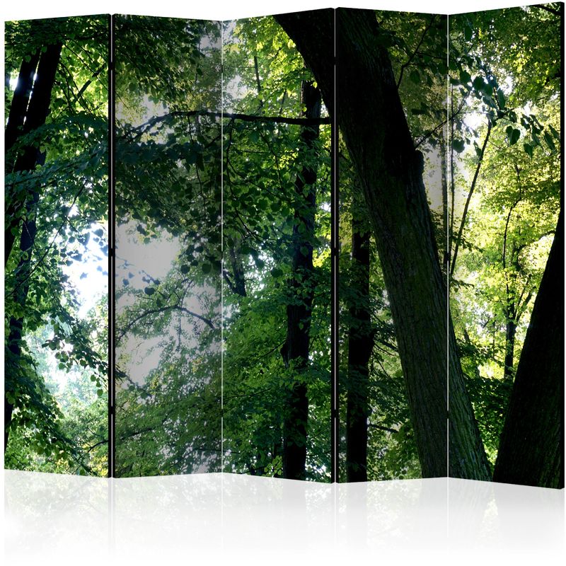 Gbshop - Paravento - Spring in the Park ii [Room Dividers] - 225x172