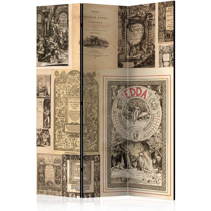 Paravento - Vintage Books [Room Dividers] - 135x172