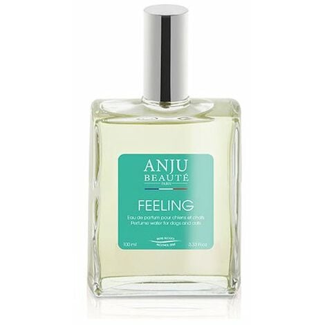 Feeling Parfum Feeling Vanille Anju Anju Parfum Senteur Senteur vw80ONymn