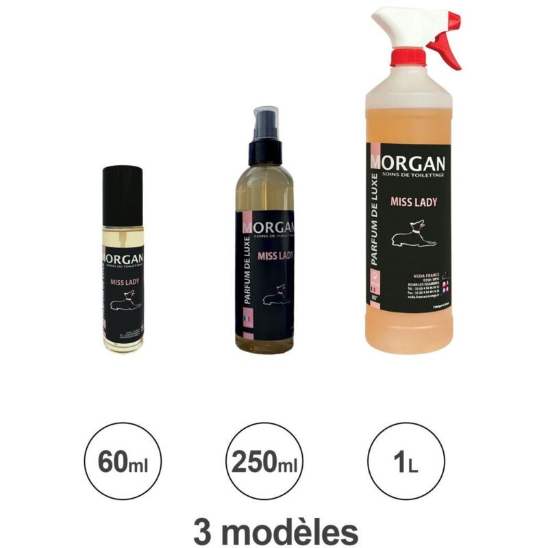 Parfum Morgan Le Mâle : 60ml Parfum Morgan Le Mâle : 60ml