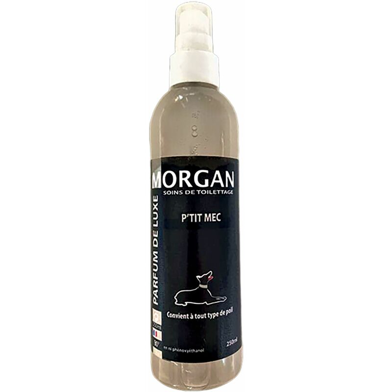 Parfum de luxe Morgan senteur P'tit Mec : 250ml